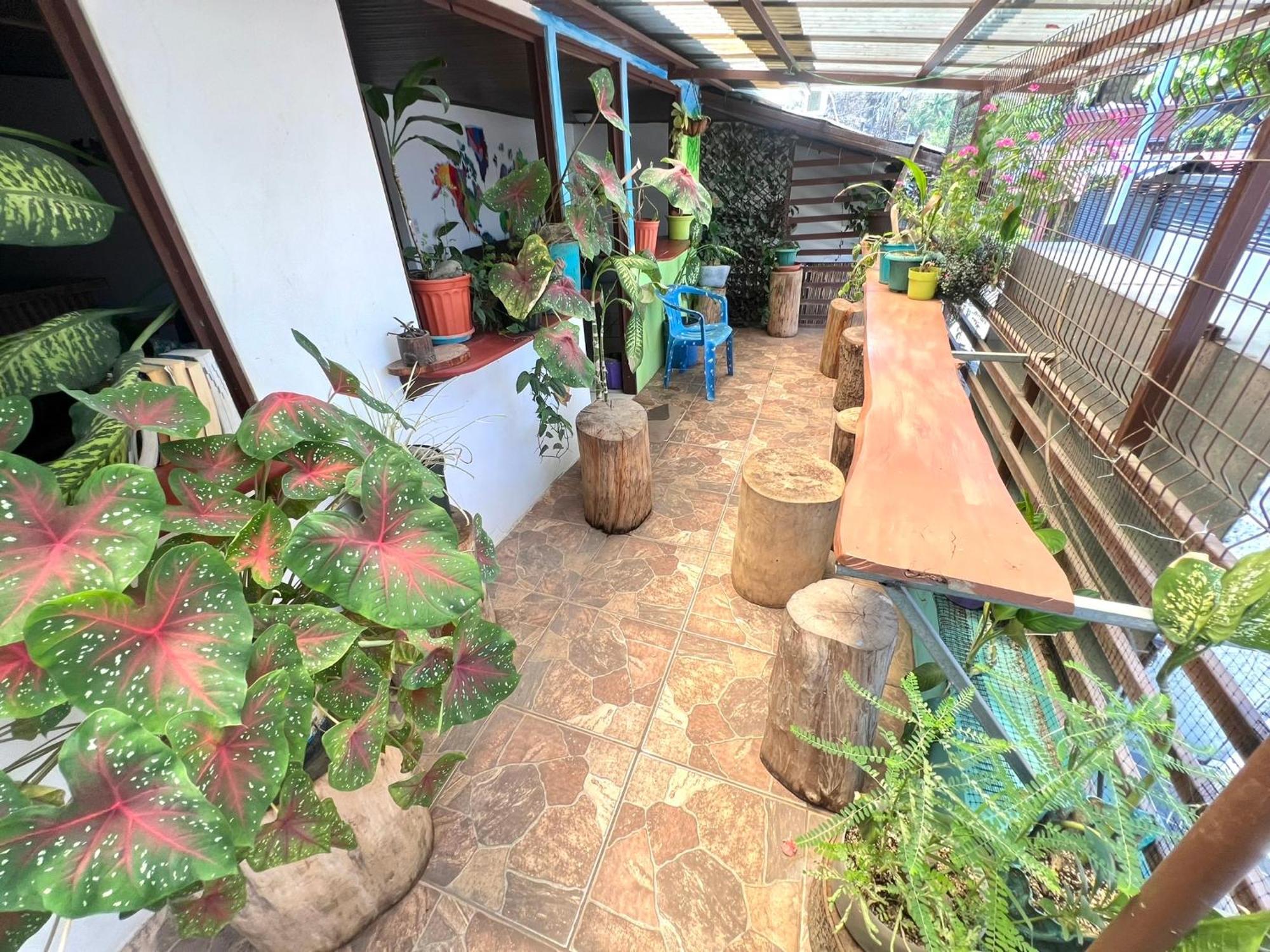 Passifloras Hostel Quepos Exterior photo